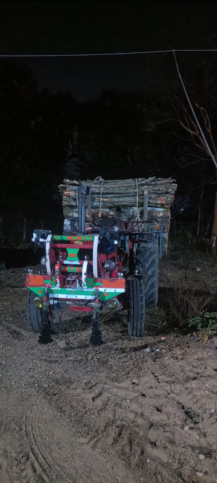 नीलगिरी वृक्ष के अवैध कटाई पर प्रशासन द्वारा की गई कार्यवाही